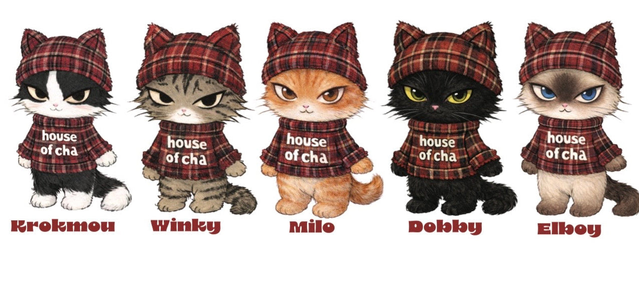 T shirt chats Tartan