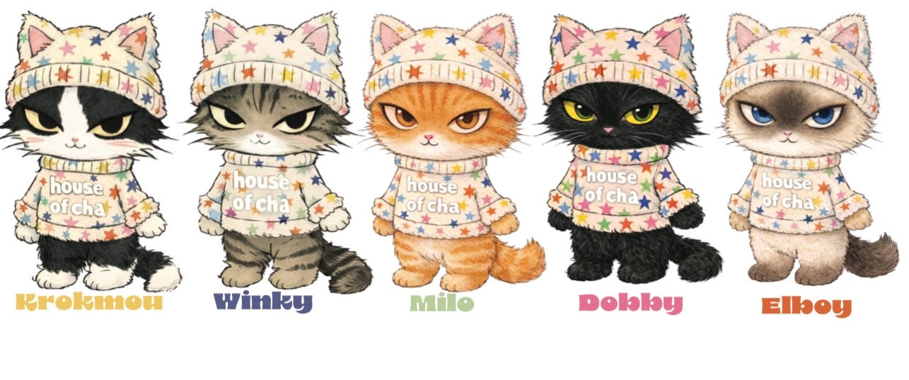 T shirt chats Étoile